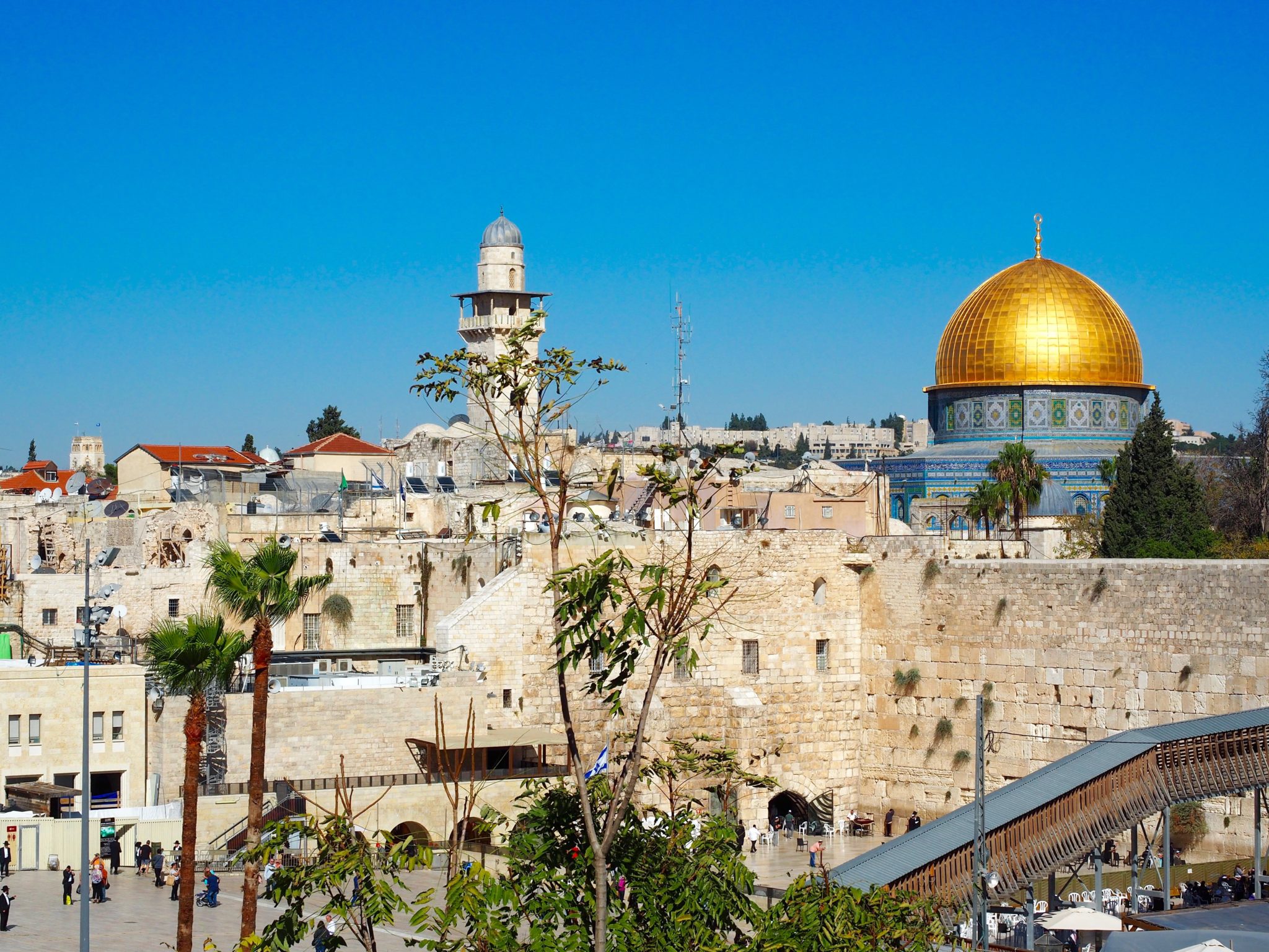 Roos and Grunfeld Israel
